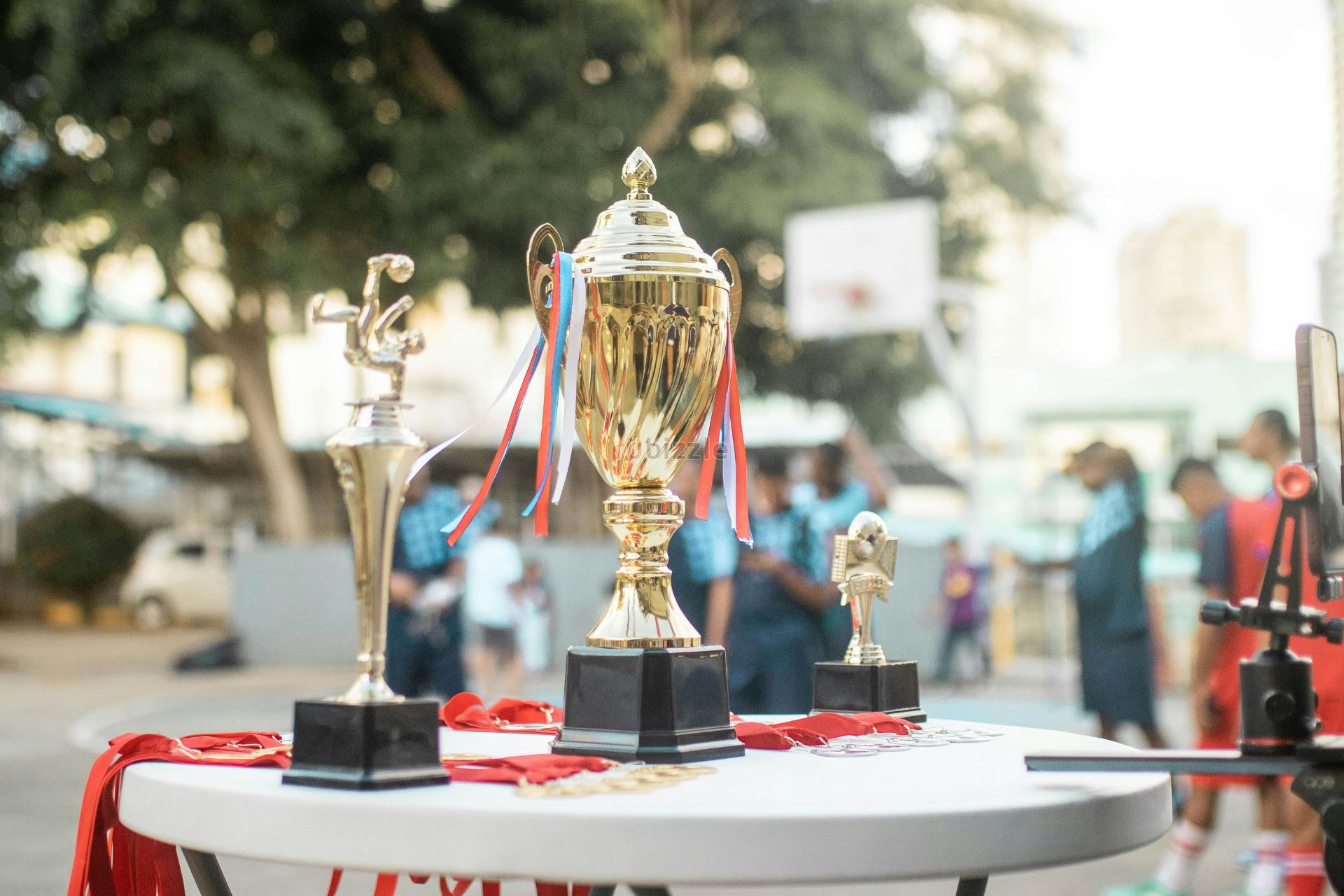 Custom Acrylic Image Printing for Stunning Wall Décor & Displays