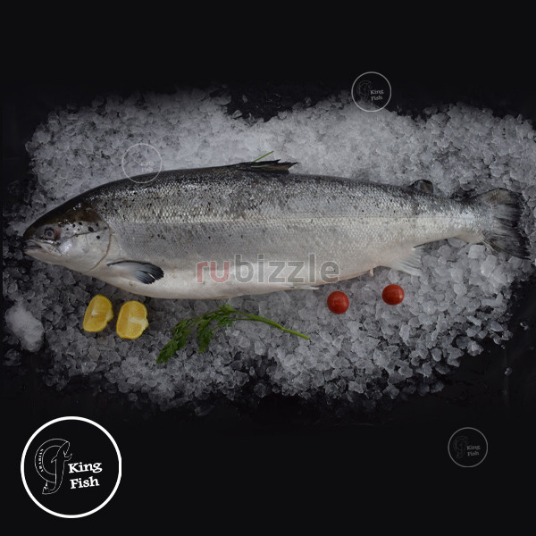 Fresh Fish home delivery in Dubai | FishandGo